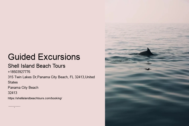 Guided Excursions