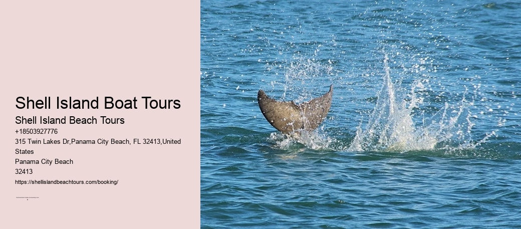 Shell Island Boat Tours