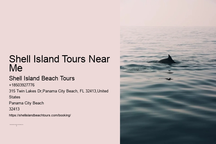 Shell Island Tours Near Me